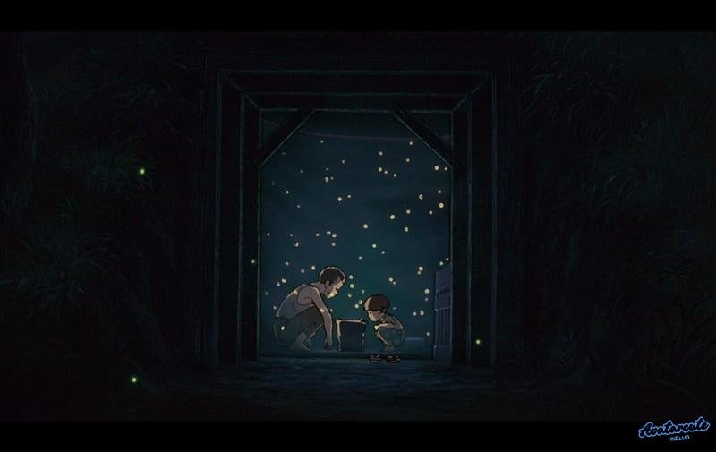 Album hình nền đom đóm mới nhất