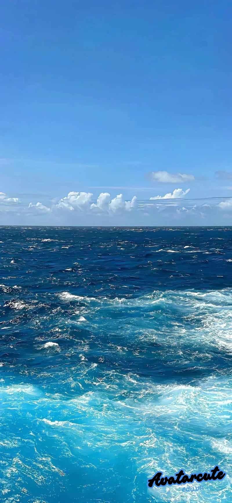 Bộ ảnh hình nền đại dương sắc nét