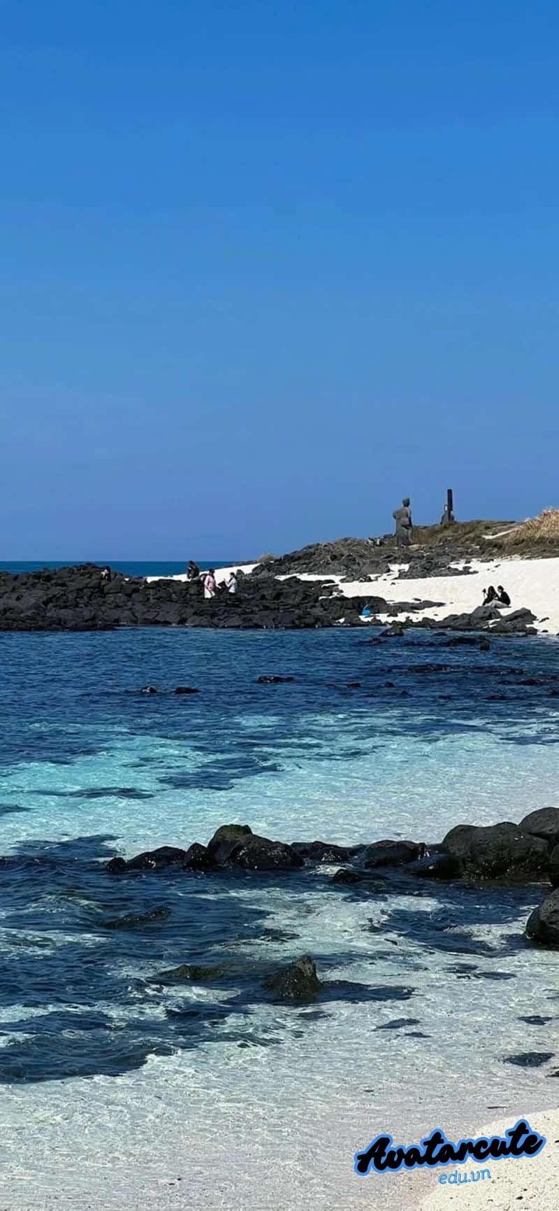 Bộ hình nền đại dương thu hút