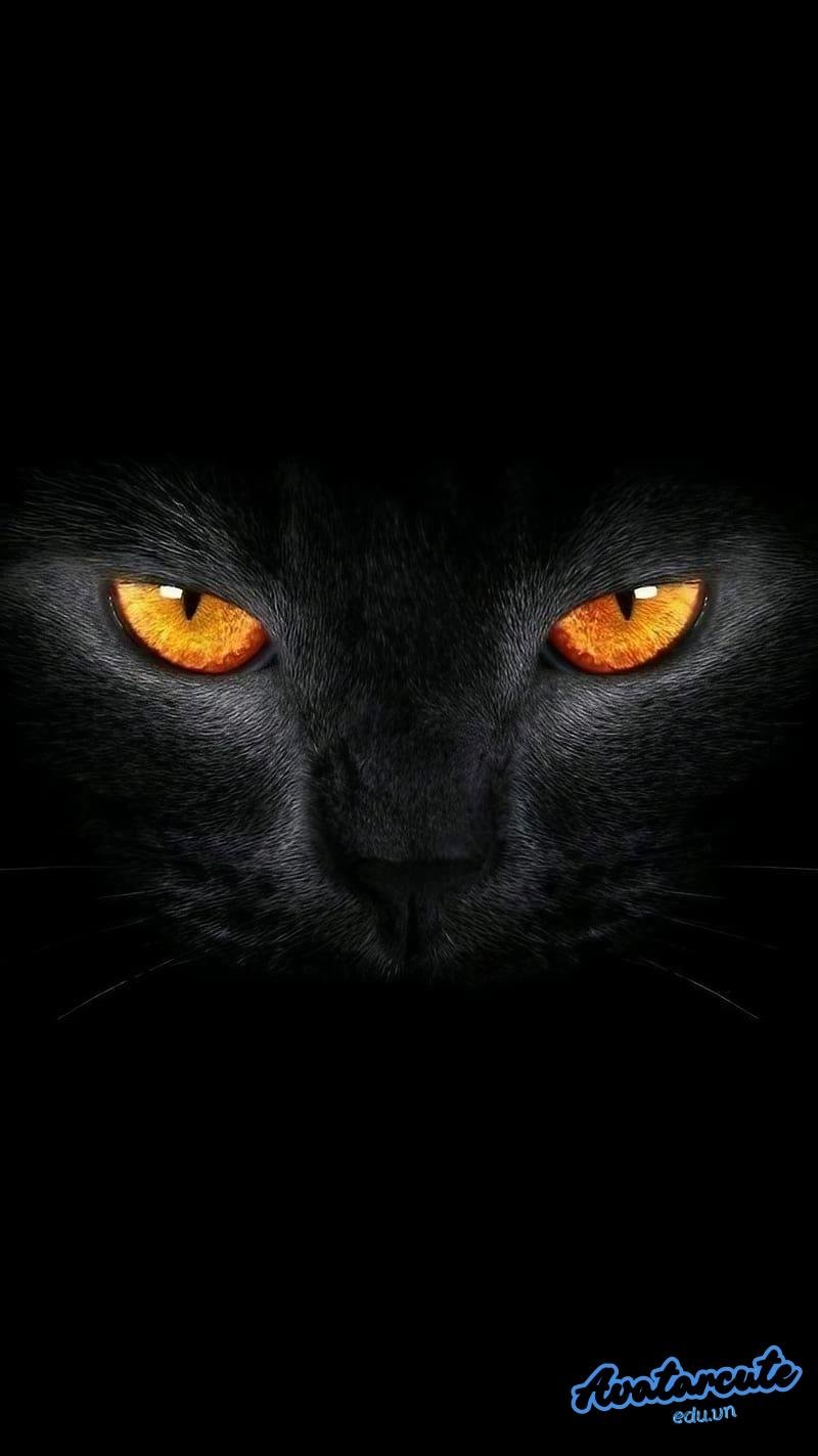 Bộ hình nền đen cuốn hút