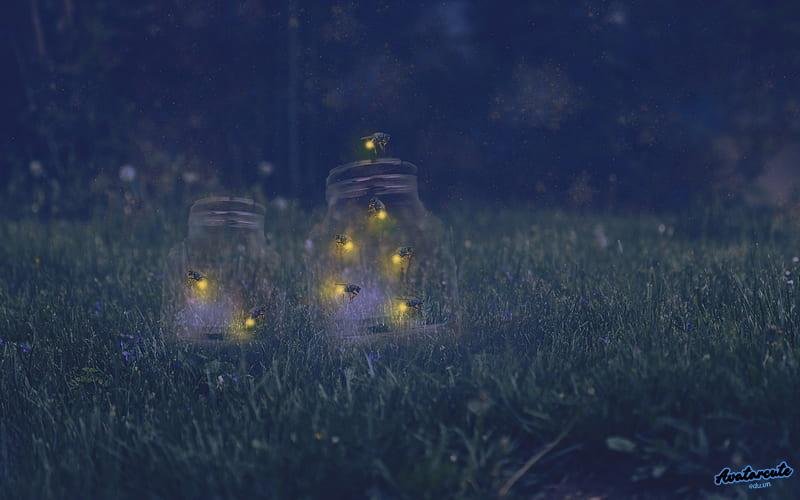 Bộ hình nền đom đóm thu hút