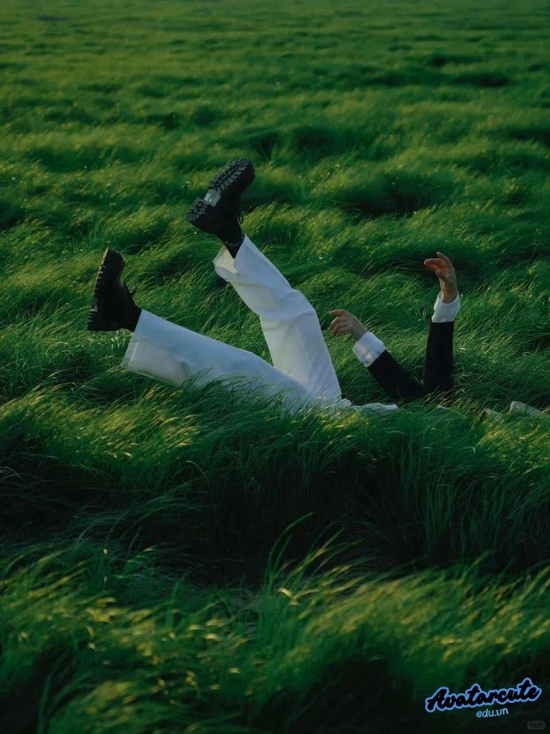 Bộ sưu tập hình nền cỏ đẹp nhất