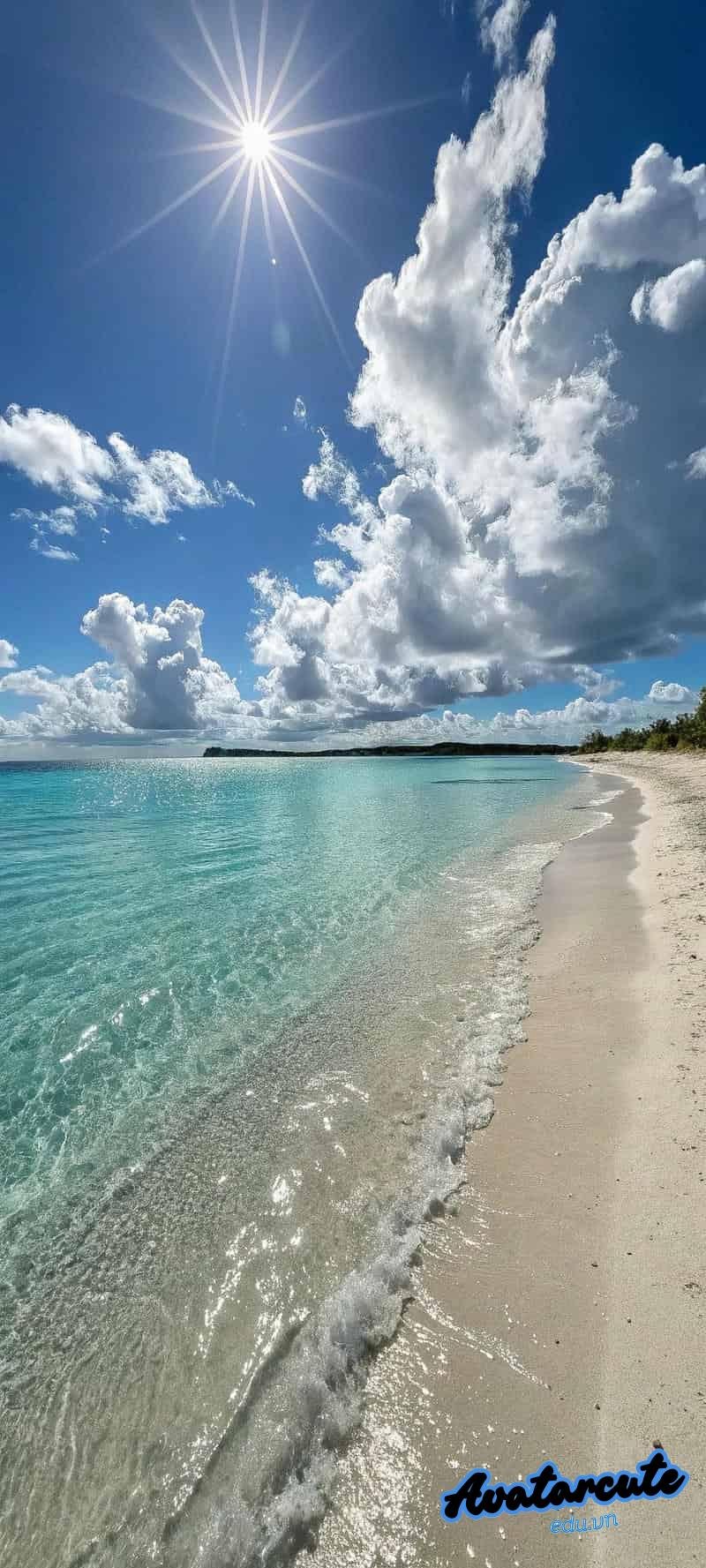 Bộ sưu tập hình nền đại dương đẹp nhất