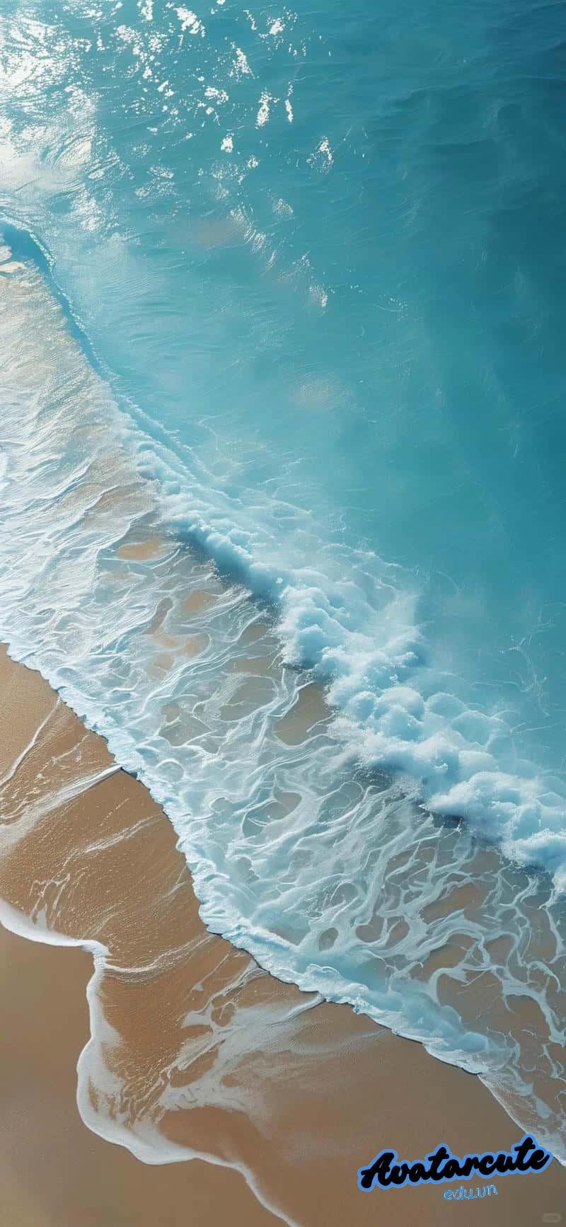 Bộ sưu tập hình nền đại dương đẹp