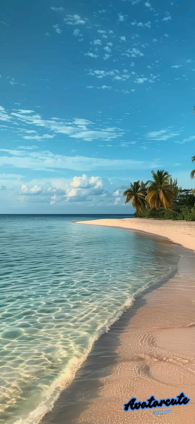 Bộ sưu tập hình nền đại dương miễn phí