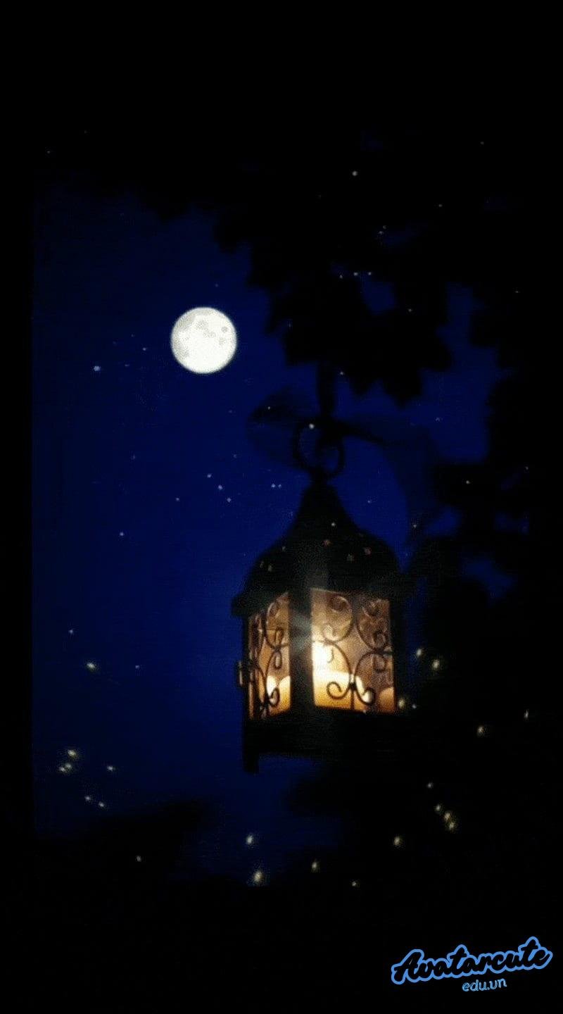 Bộ sưu tập hình nền đom đóm miễn phí