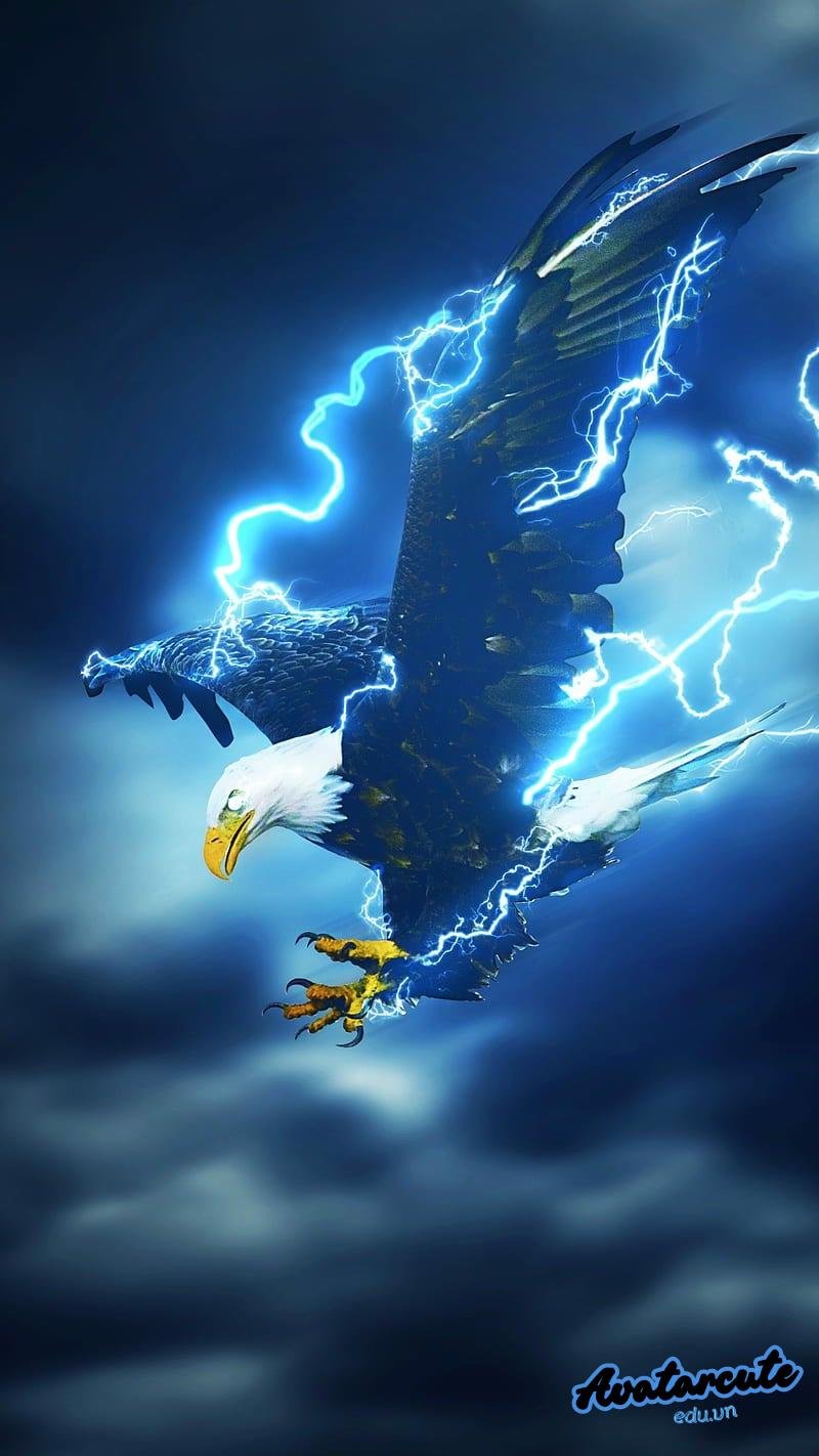 Khám phá hình nền đại bàng cuốn hút