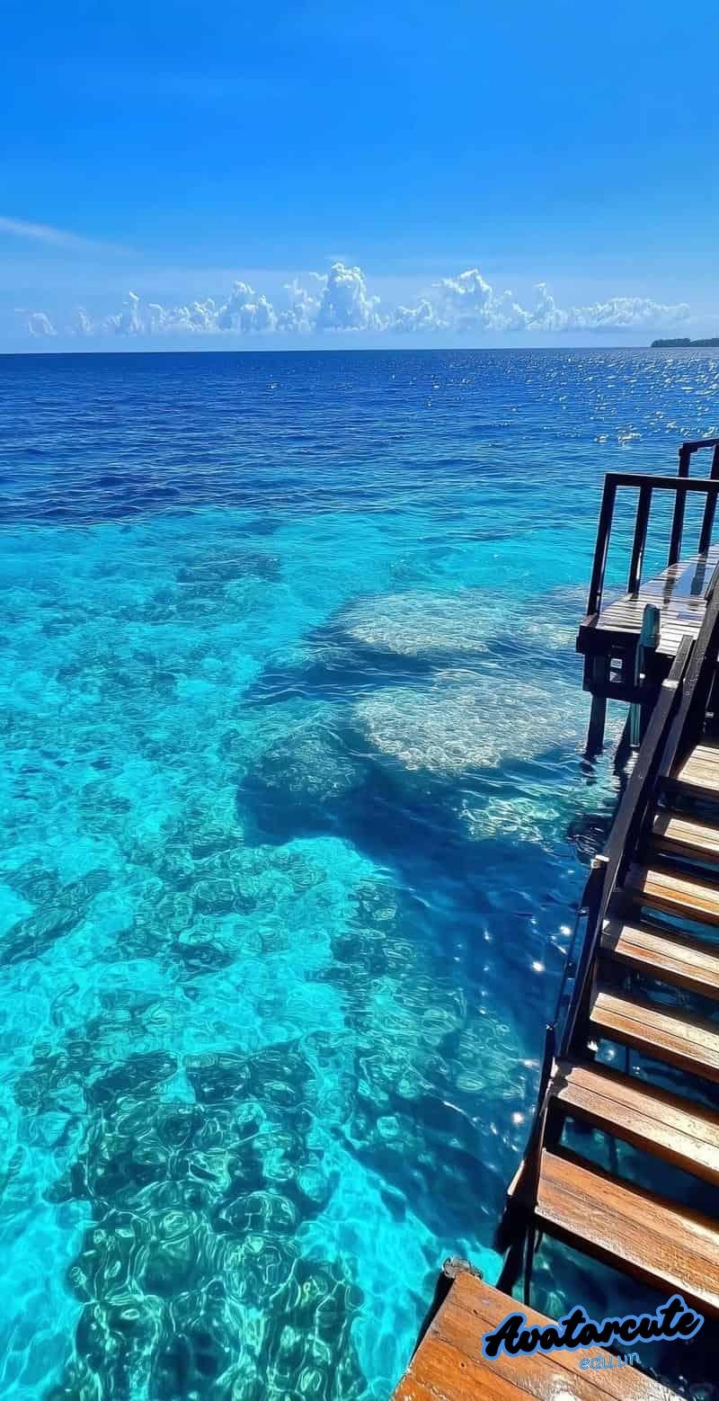 Khám phá hình nền đại dương cuốn hút