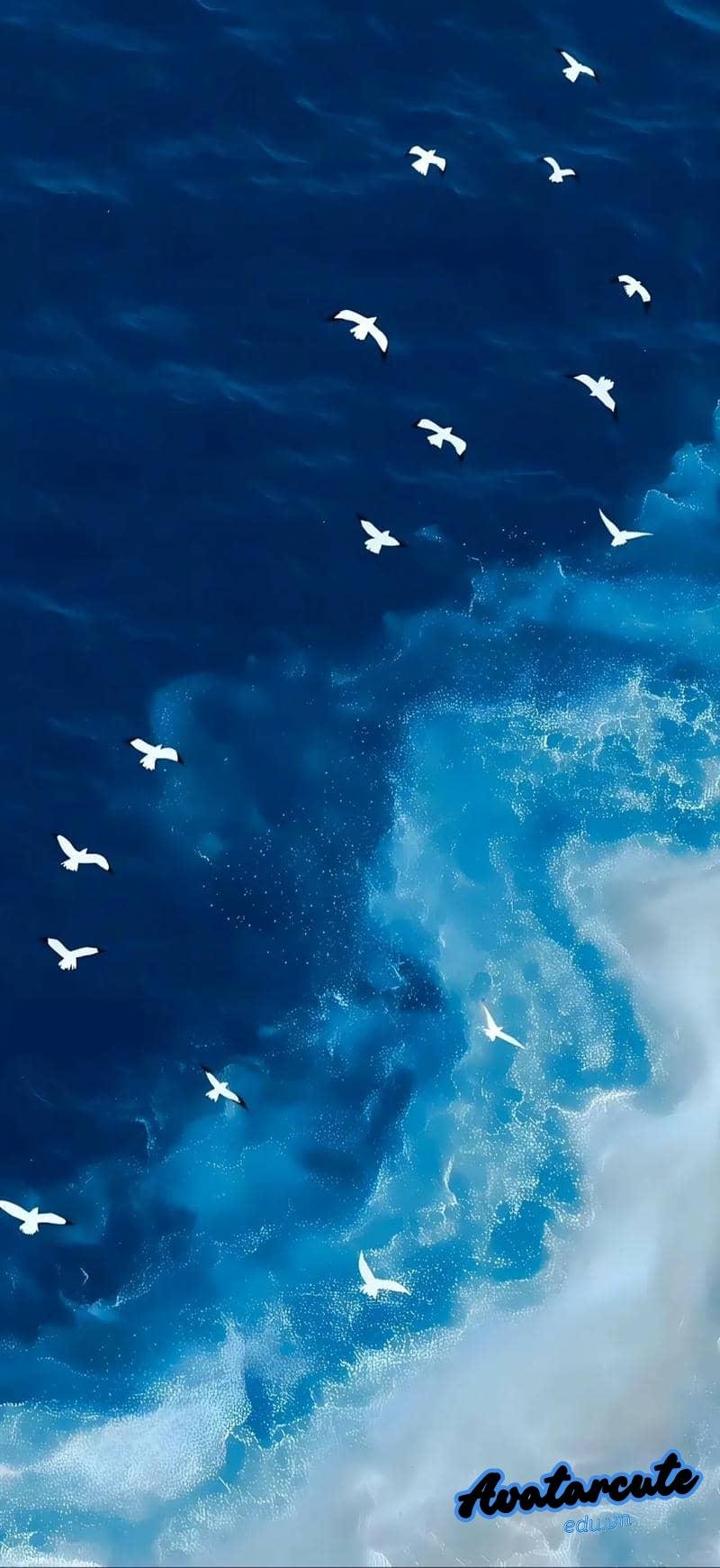 Khám phá hình nền đại dương mới nhất