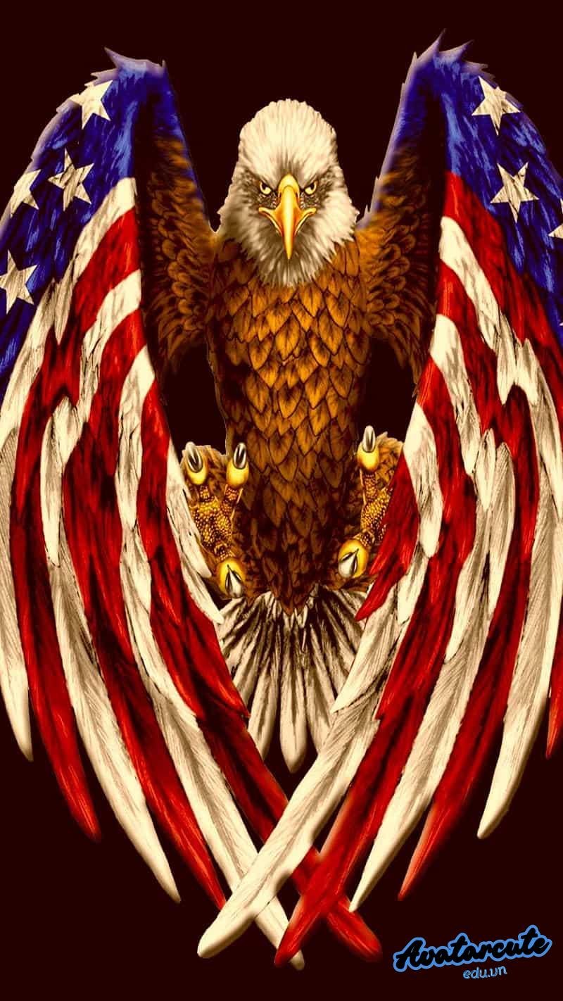 Khám phá kho hình nền đại bàng mới nhất