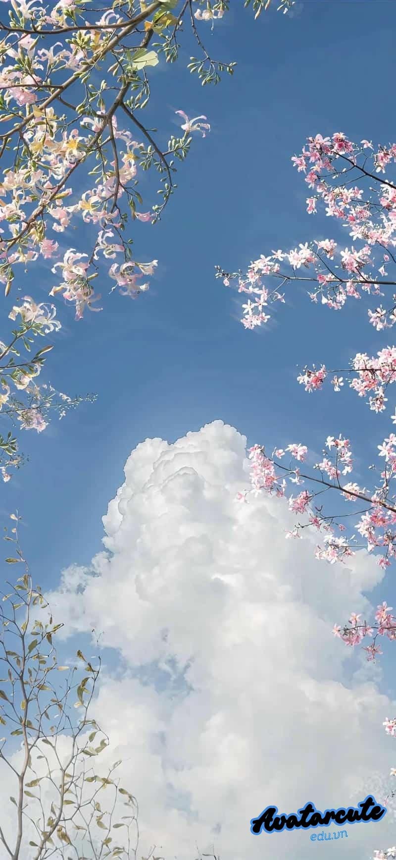 Khám phá kho hình nền đám mây mới nhất