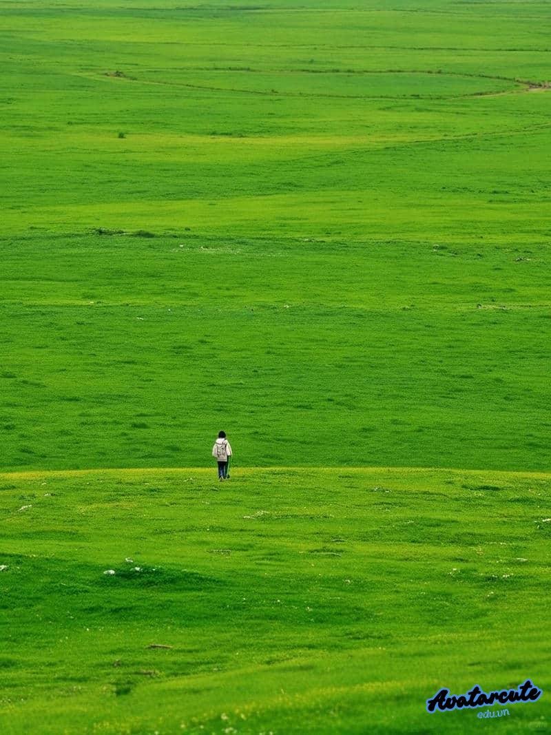 Kho ảnh hình nền cỏ miễn phí