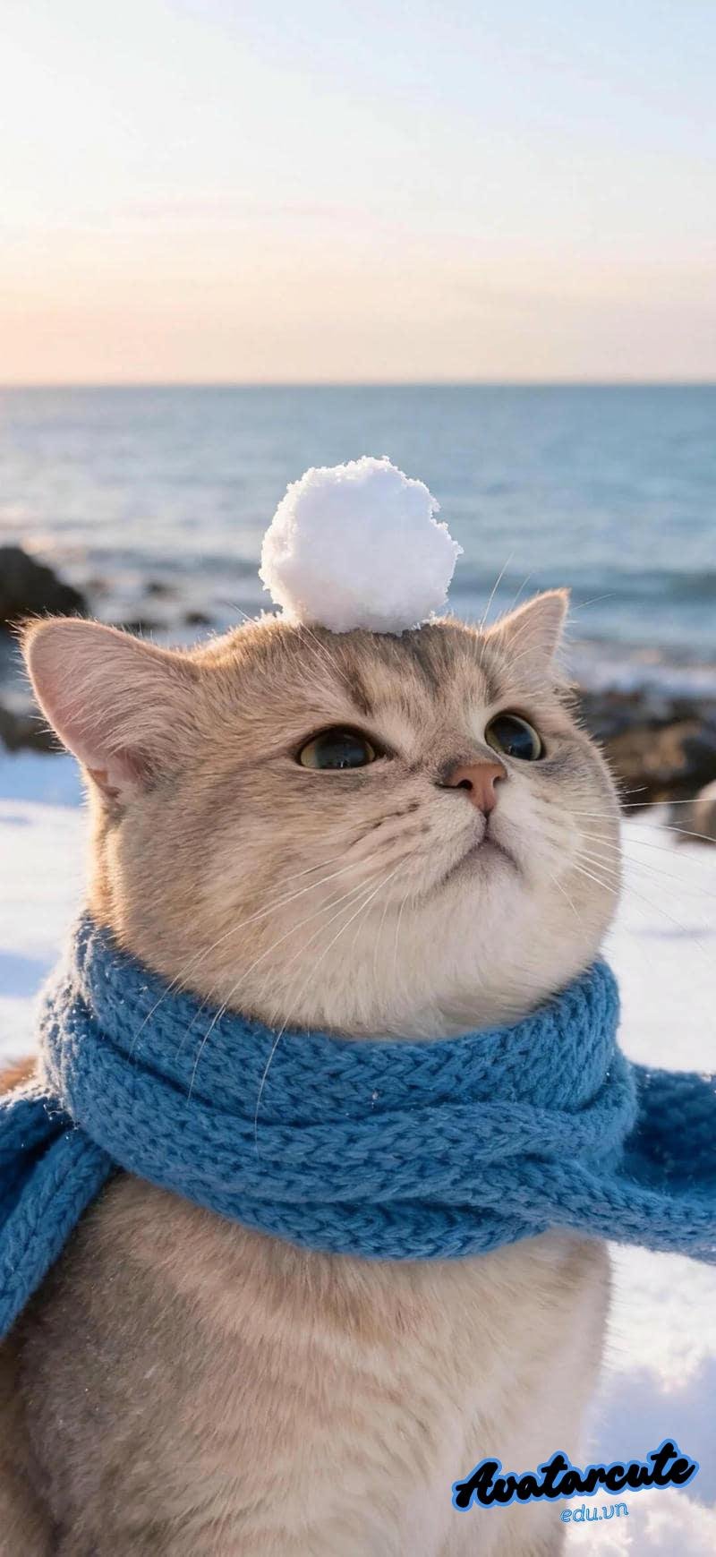 Loạt hình nền con vật cuốn hút