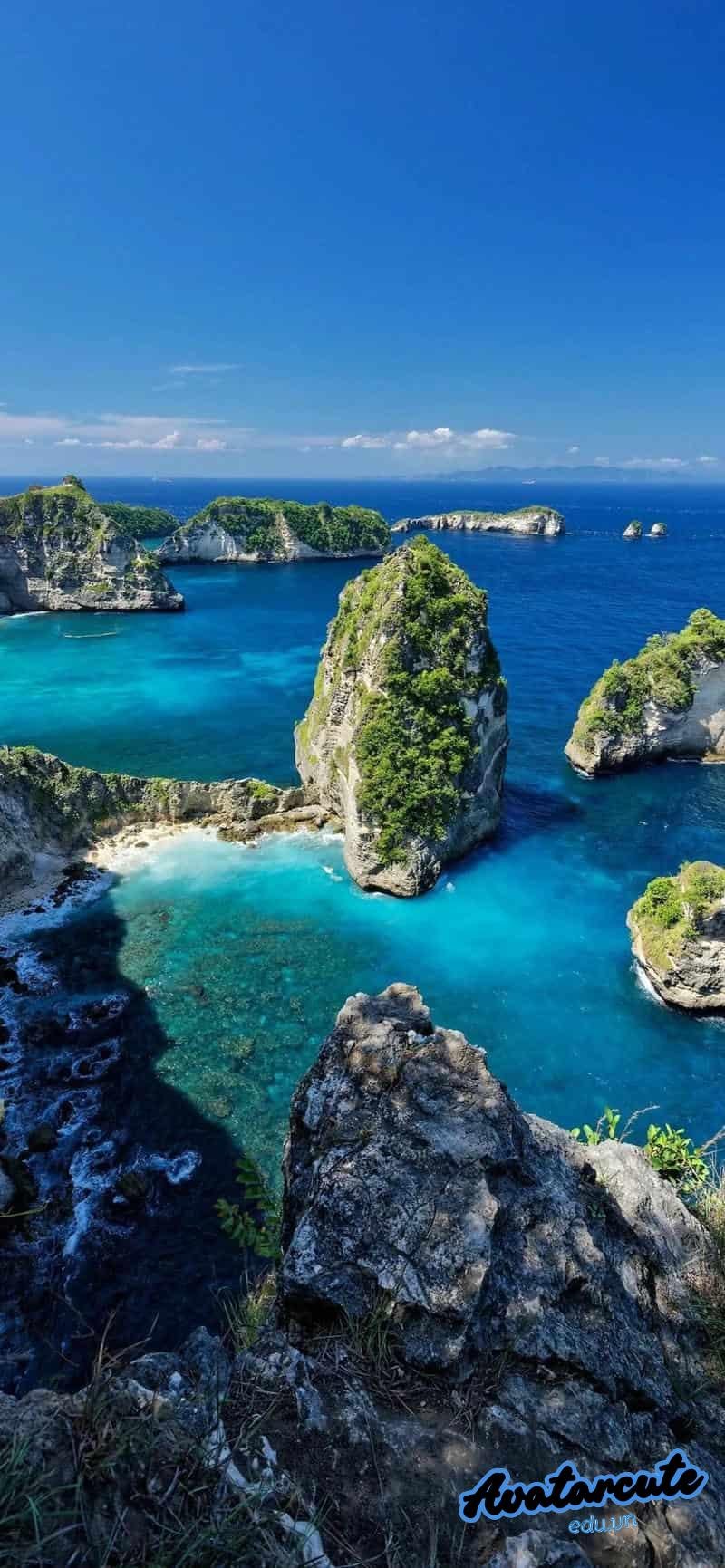 Loạt hình nền đại dương chất lượng nhất