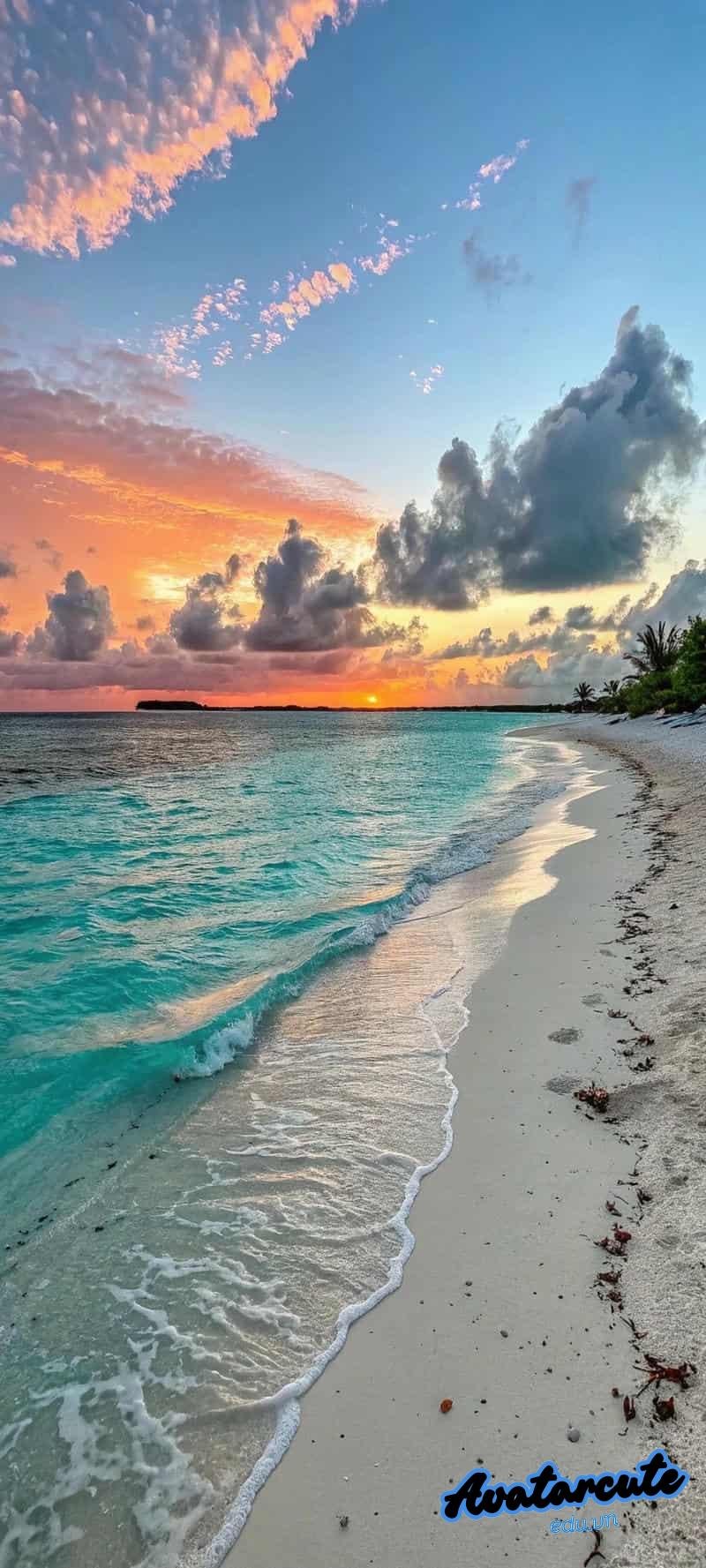 Loạt hình nền đại dương chất lượng