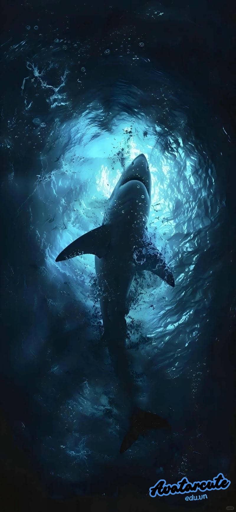 Loạt hình nền đại dương cuốn hút