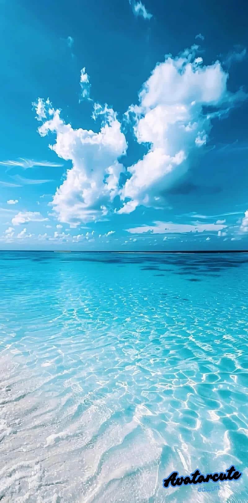 Loạt hình nền đại dương độc quyền