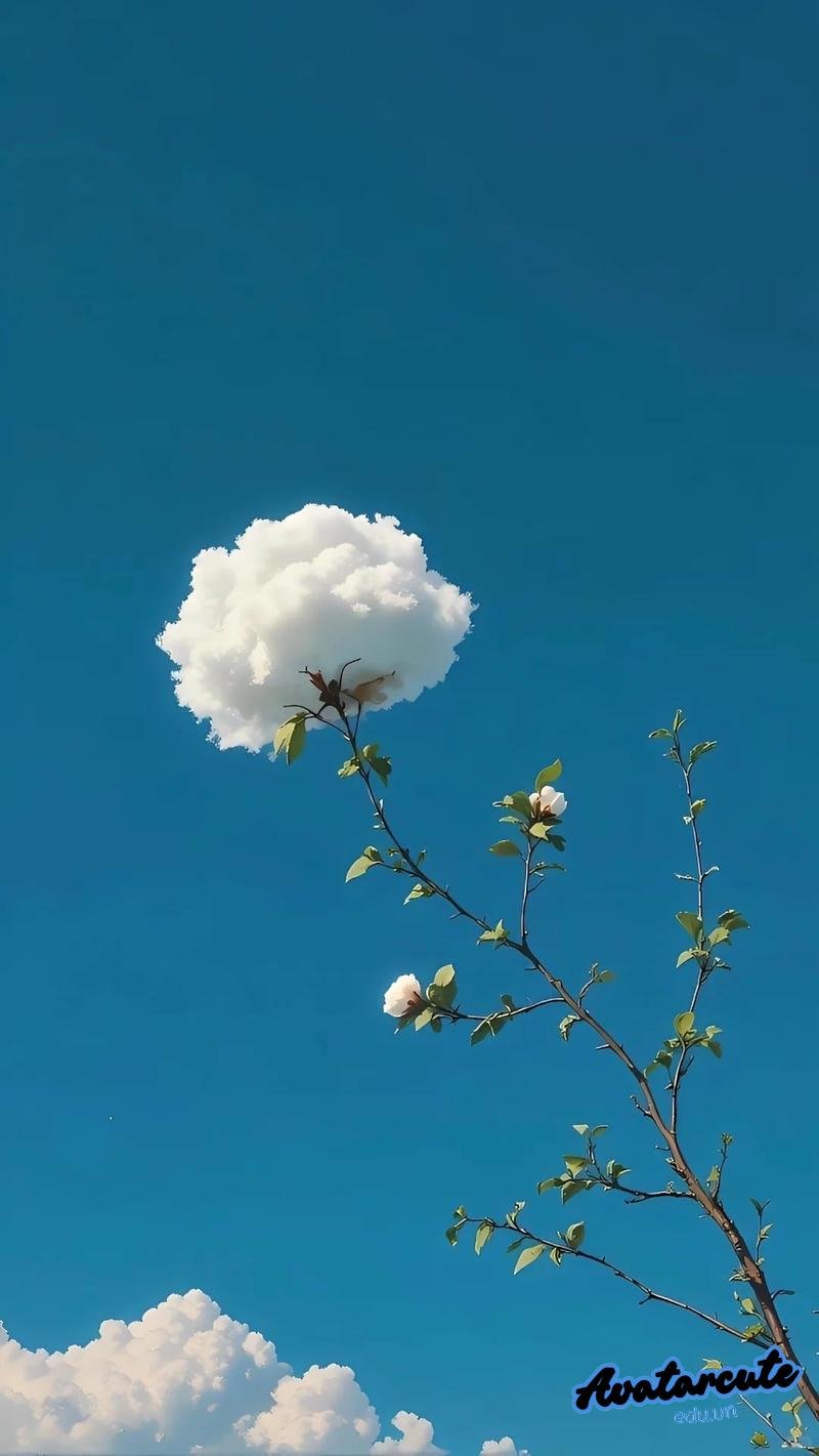 Loạt hình nền đám mây chất lượng nhất