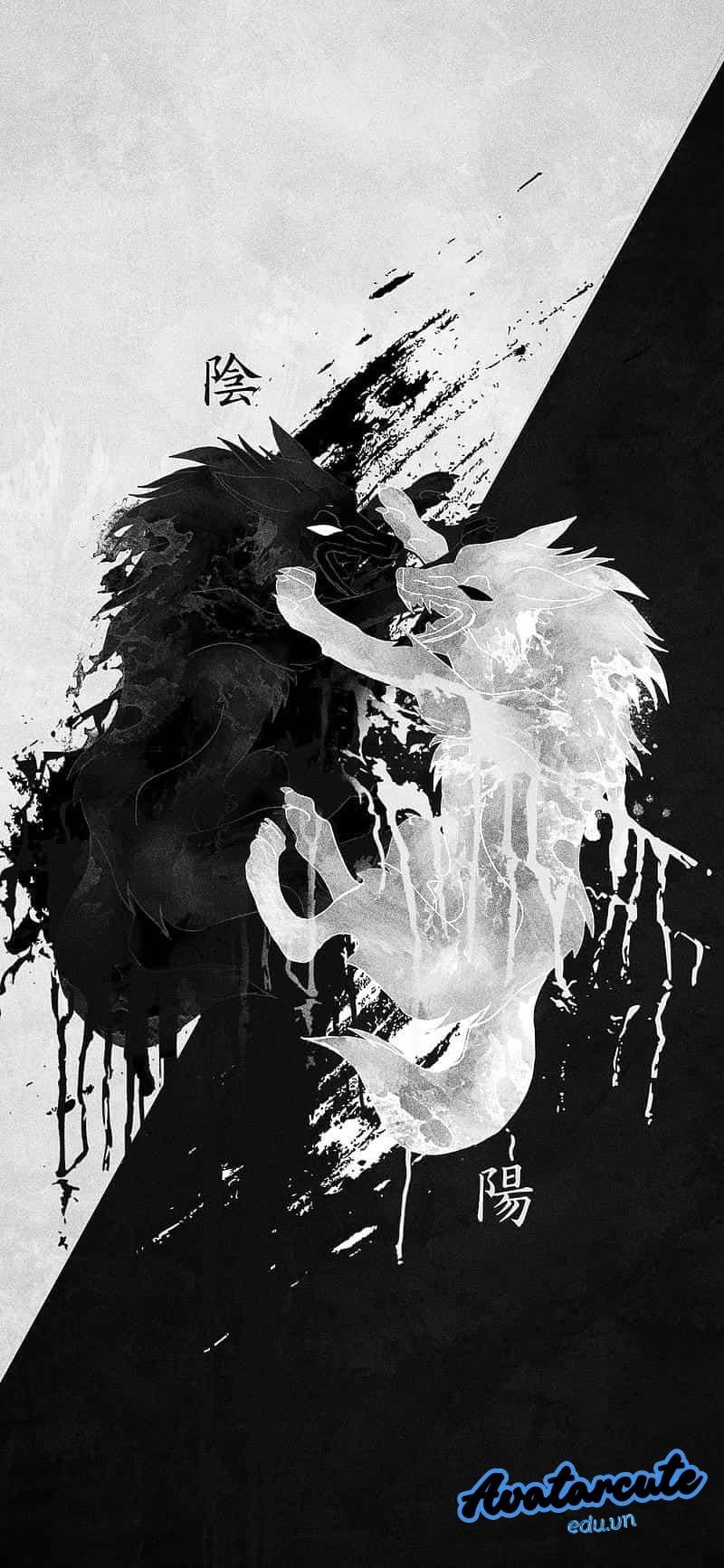 Loạt hình nền đen trắng chất lượng nhất