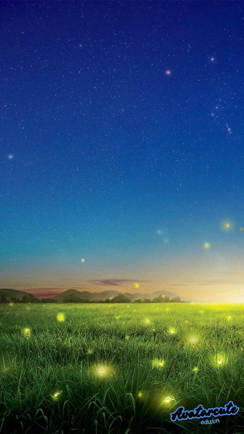 Loạt hình nền đom đóm cuốn hút