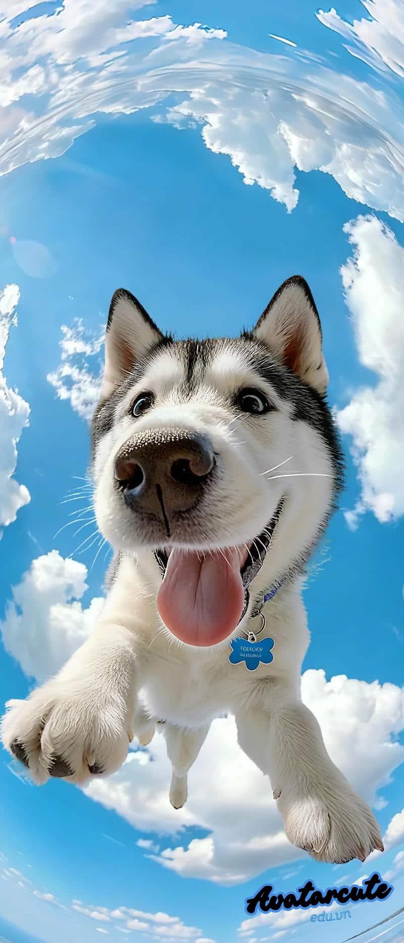 Ngắm bộ hình nền con vật chất lượng cao