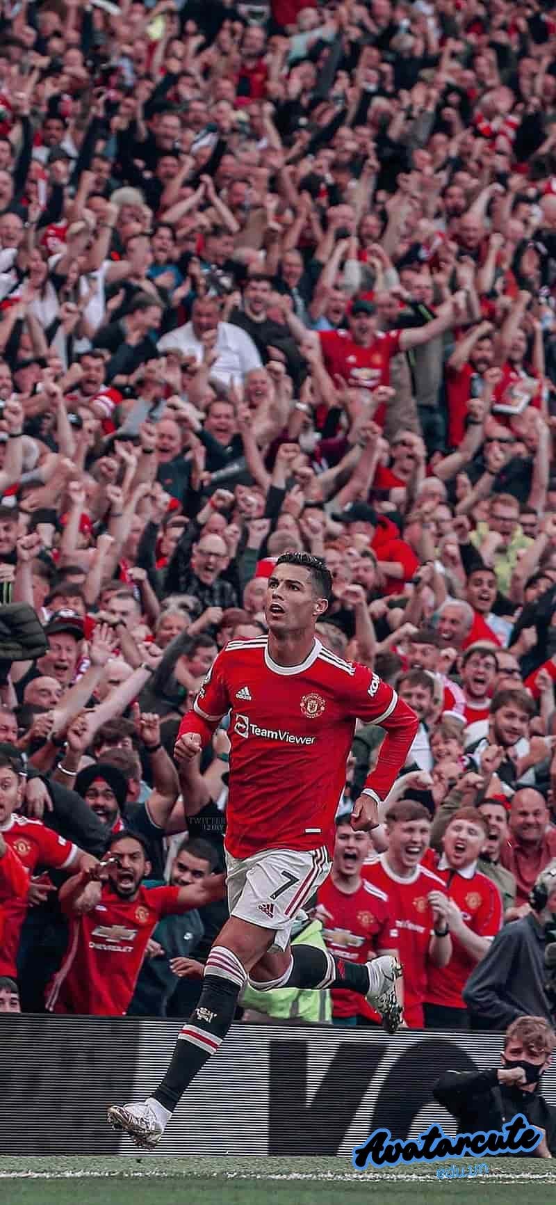 Ngắm bộ hình nền đá bóng chất lượng cao