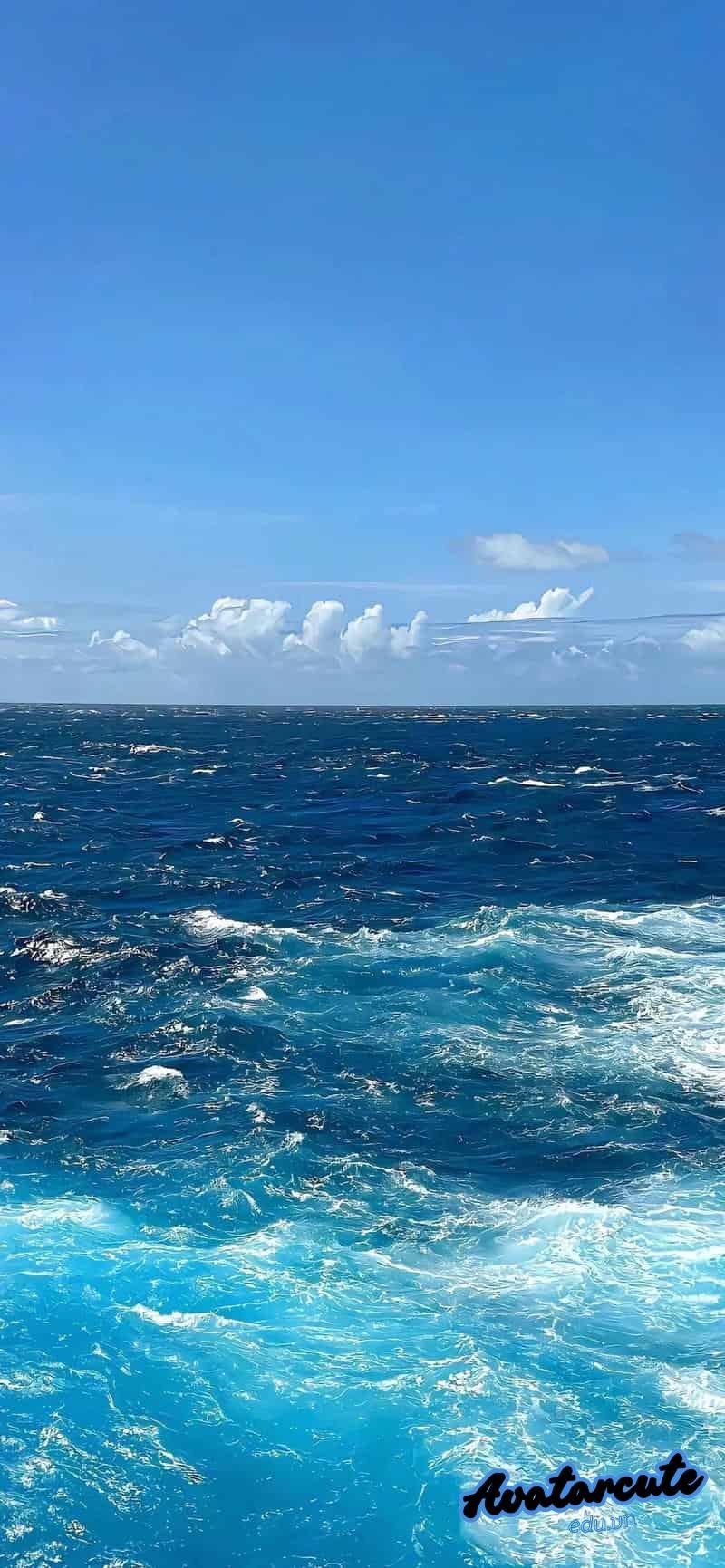 Ngắm bộ hình nền đại dương chất lượng cao