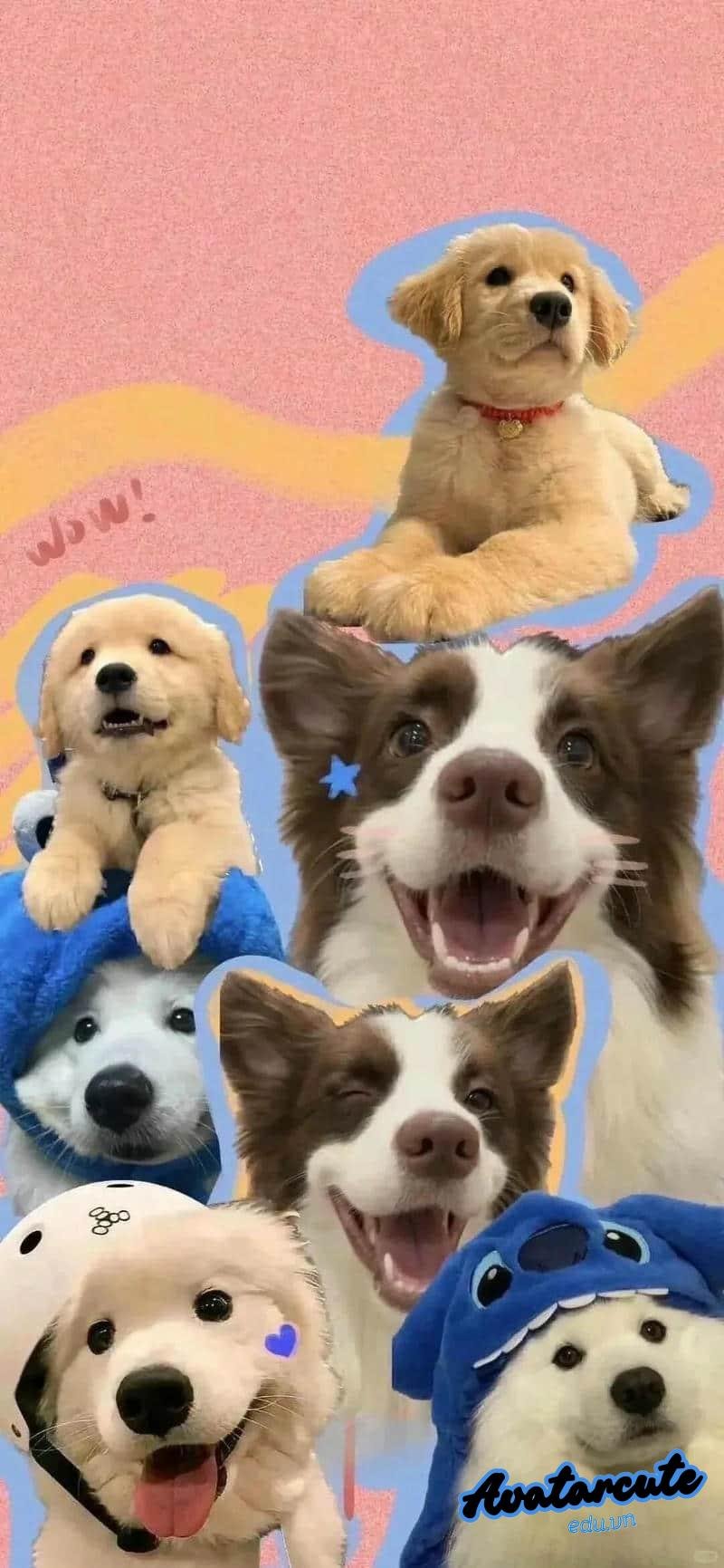 Ngắm hình nền con vật thu hút