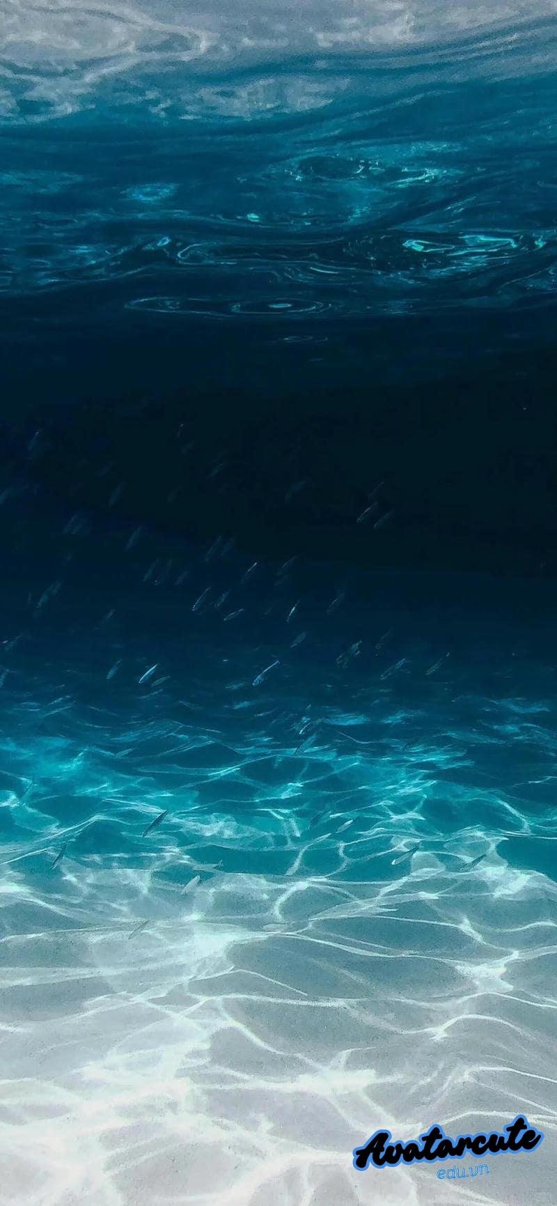 Ngắm hình nền đại dương miễn phí