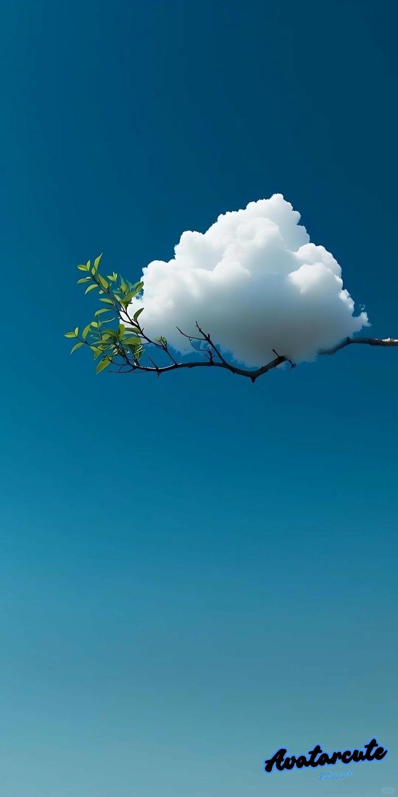 Ngắm hình nền đám mây miễn phí