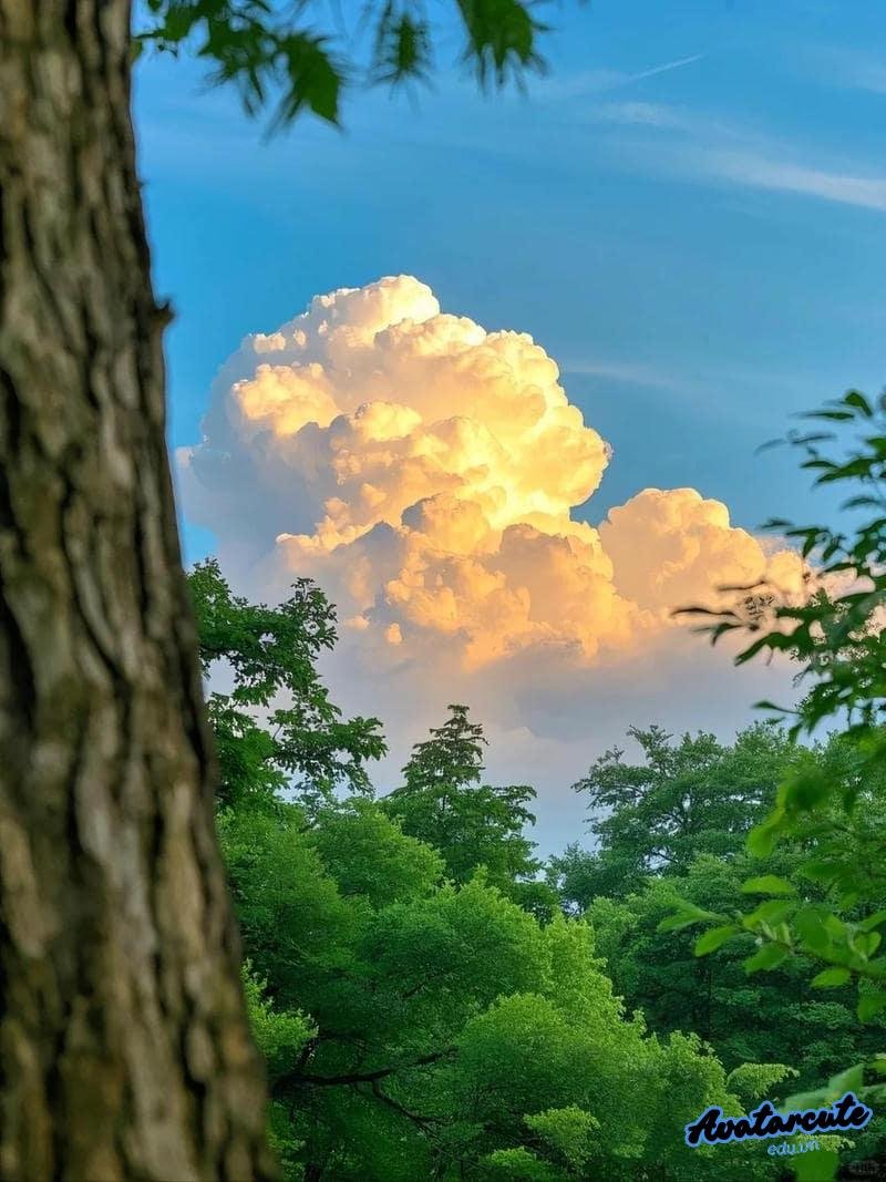 Ngắm hình nền đám mây thu hút