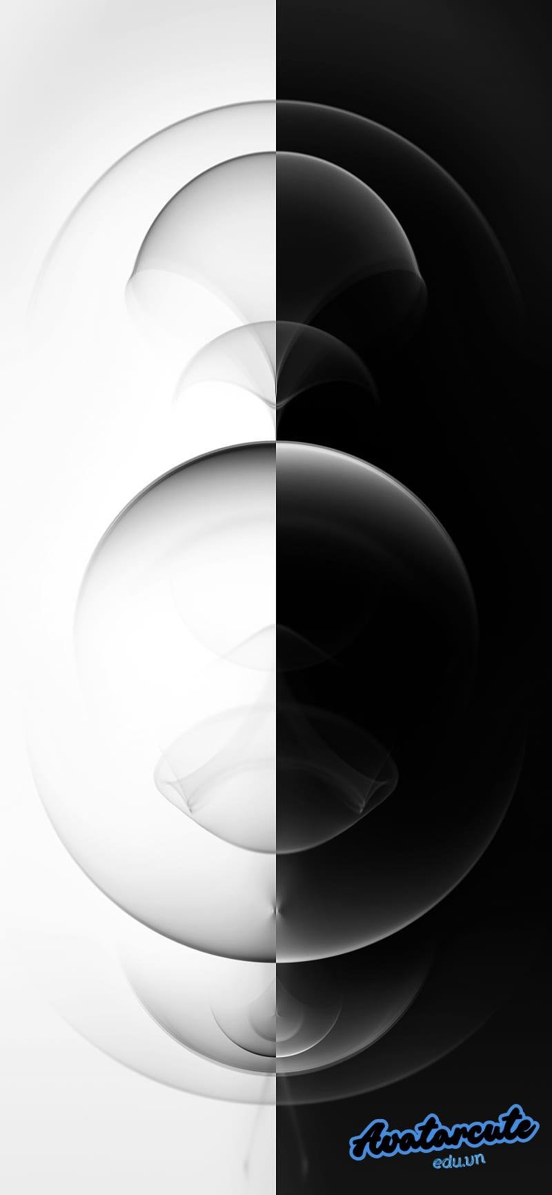 Ngắm hình nền đen trắng thu hút
