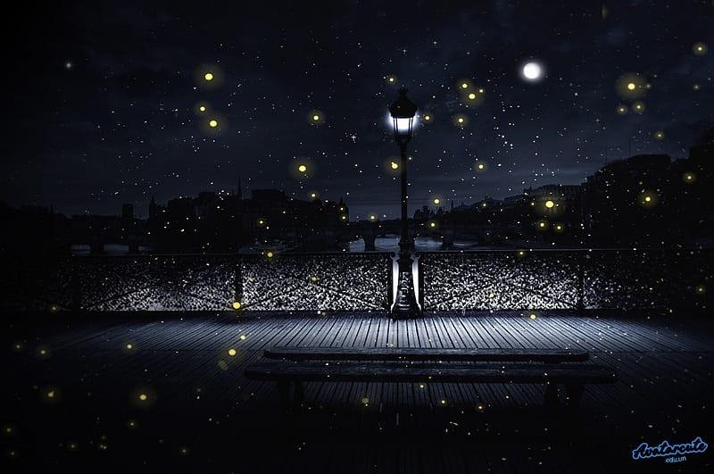 Ngắm hình nền đom đóm miễn phí