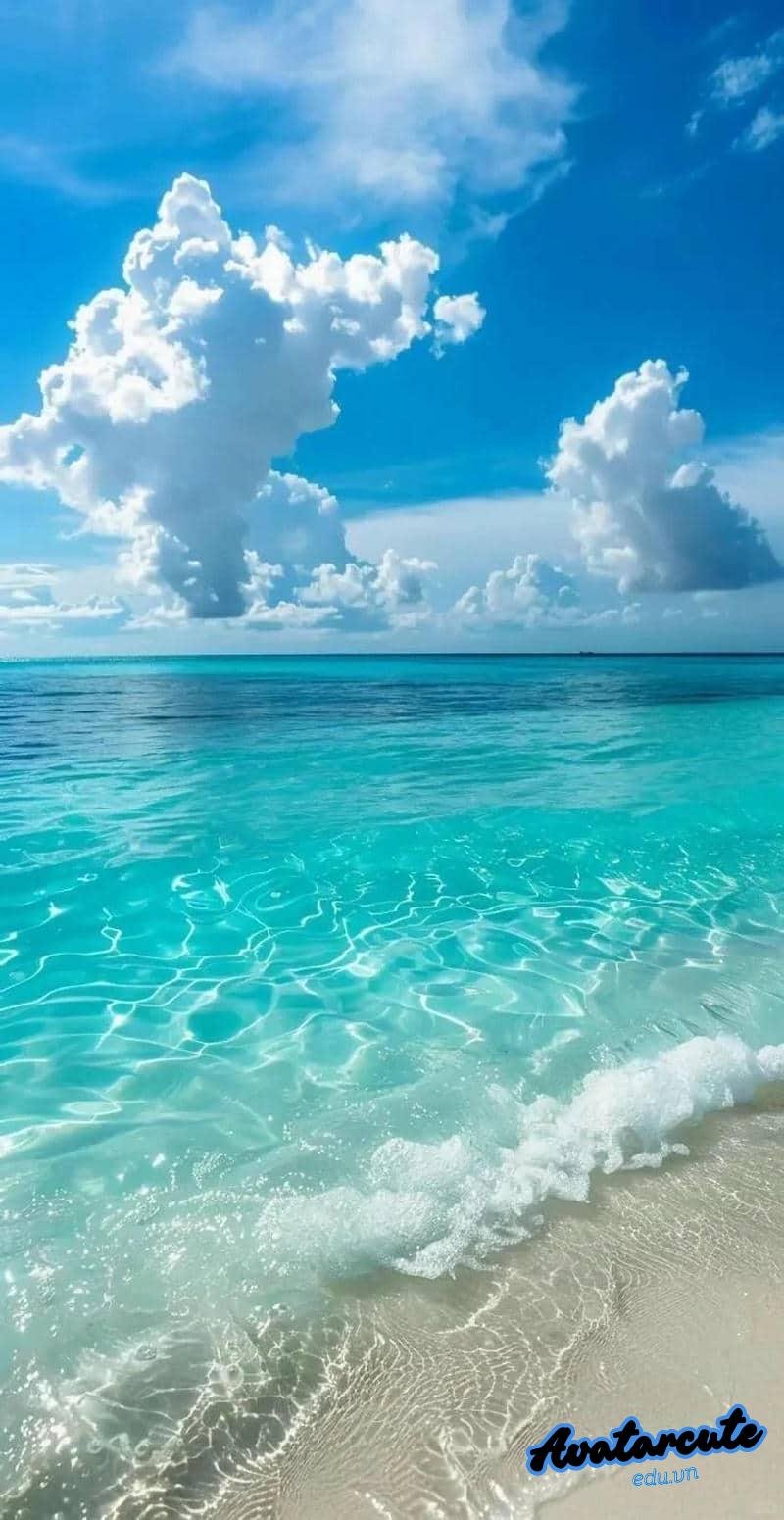 Tải ảnh hình nền đại dương độc quyền