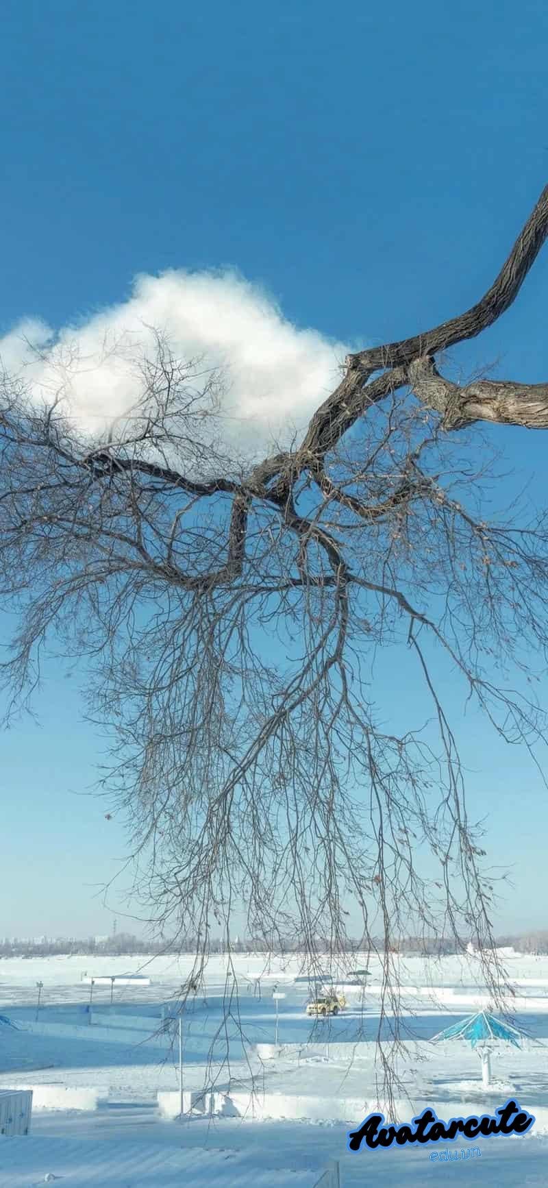 Tải ảnh hình nền đám mây độc quyền