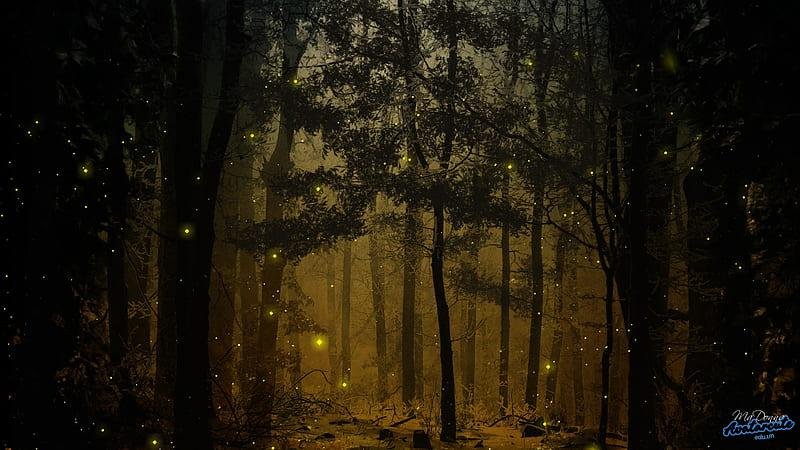 Tải bộ hình nền đom đóm mới nhất