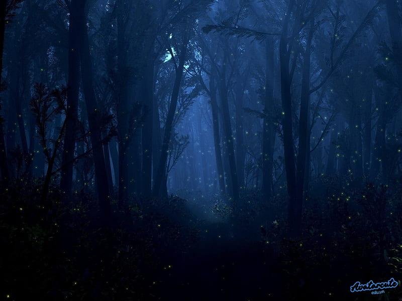 Tải về hình nền đom đóm chất lượng cao