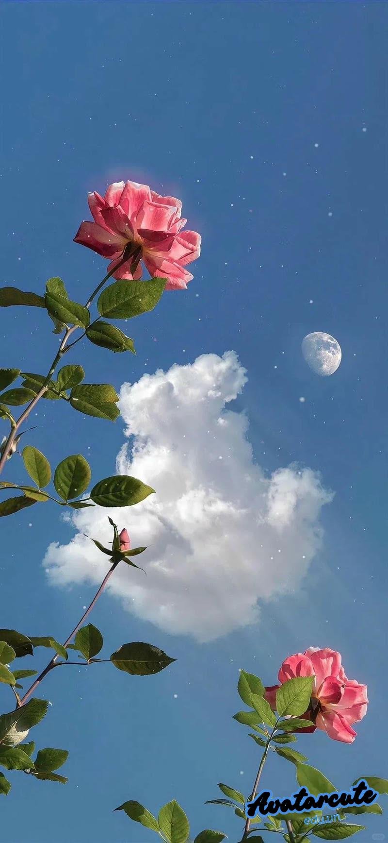 Tuyển tập bộ hình nền đám mây miễn phí