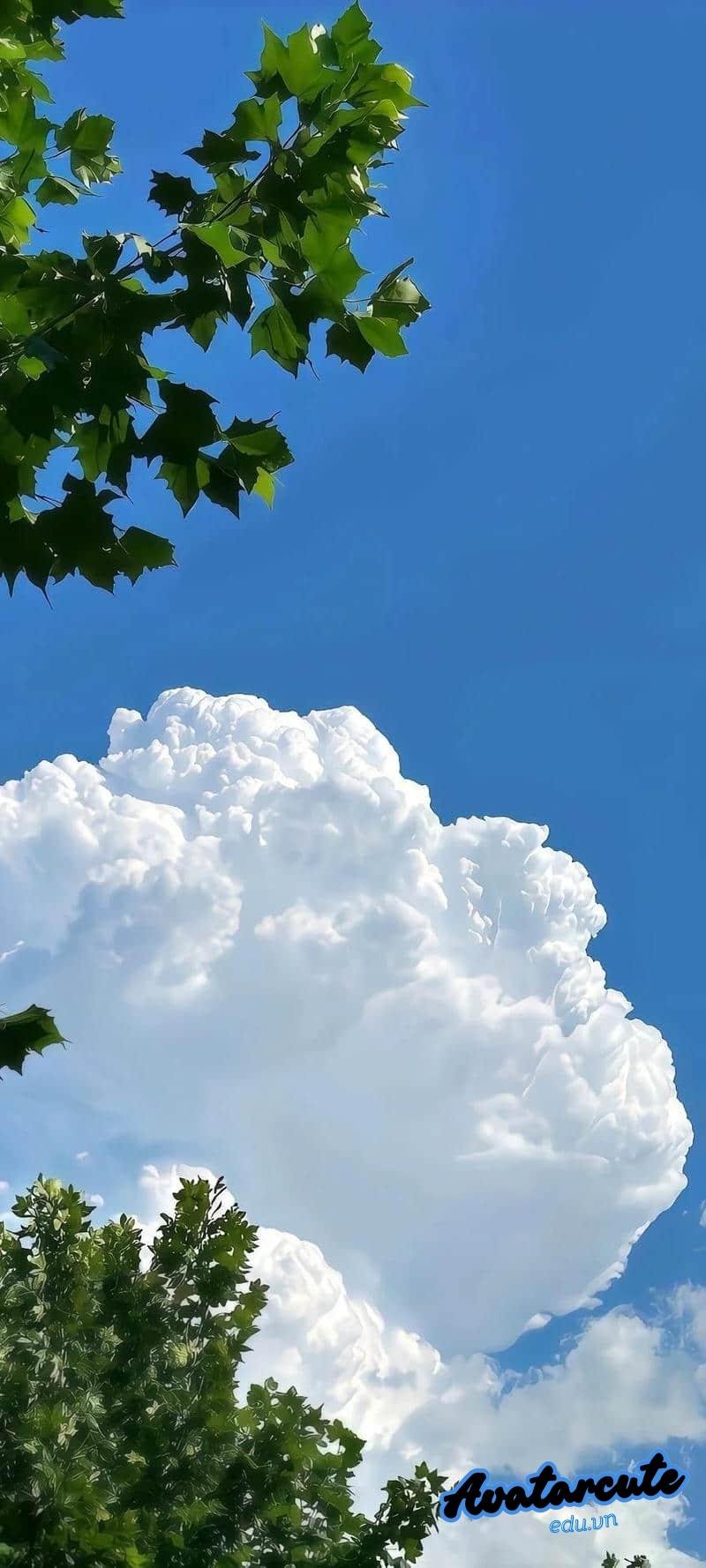Xem hình nền đám mây đẹp