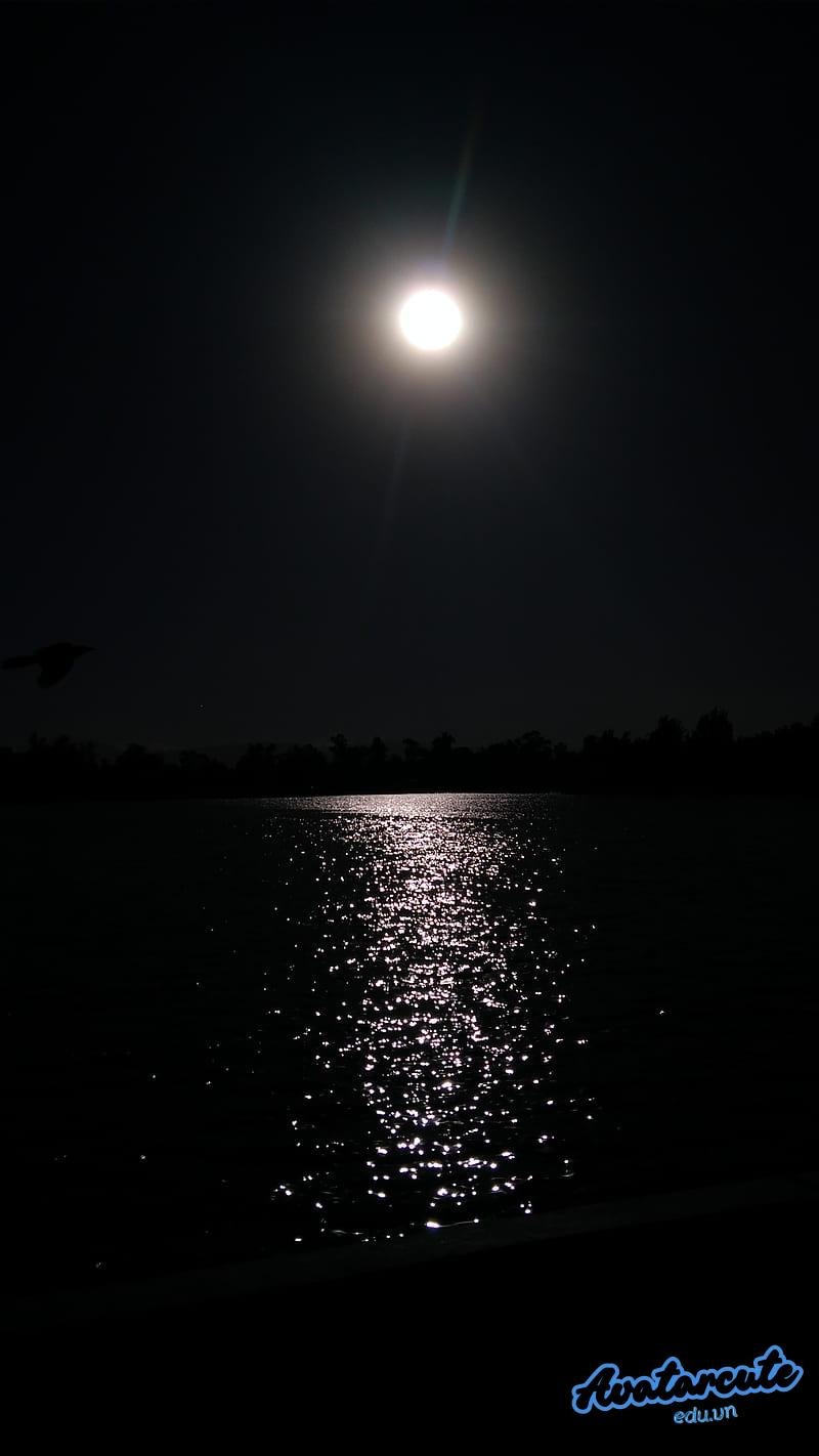 Xem hình nền đen chất lượng cao