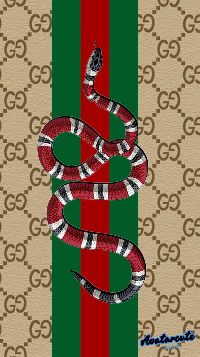 Album hình nền gucci mới