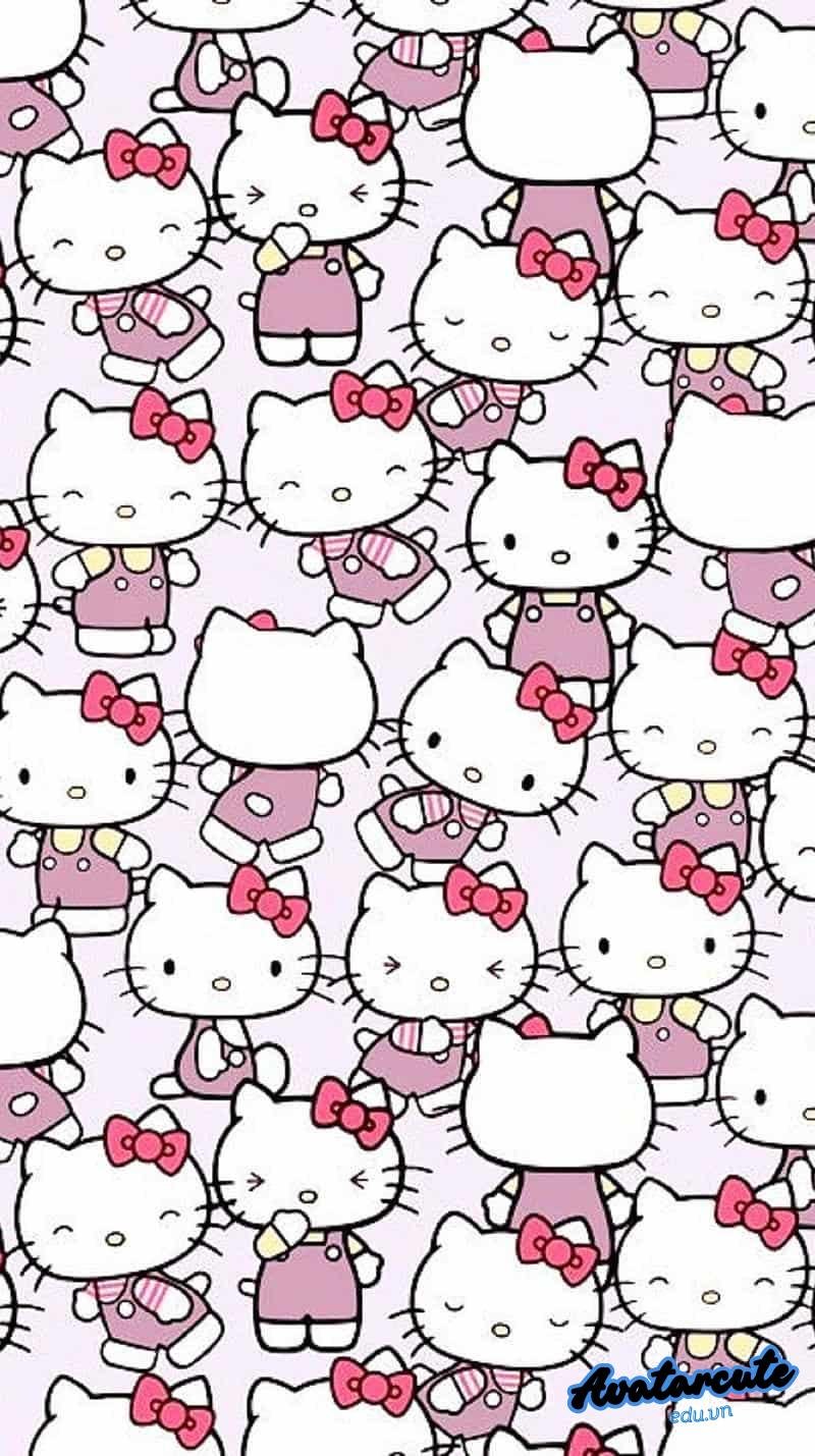 Album hình nền hello kitty mới nhất