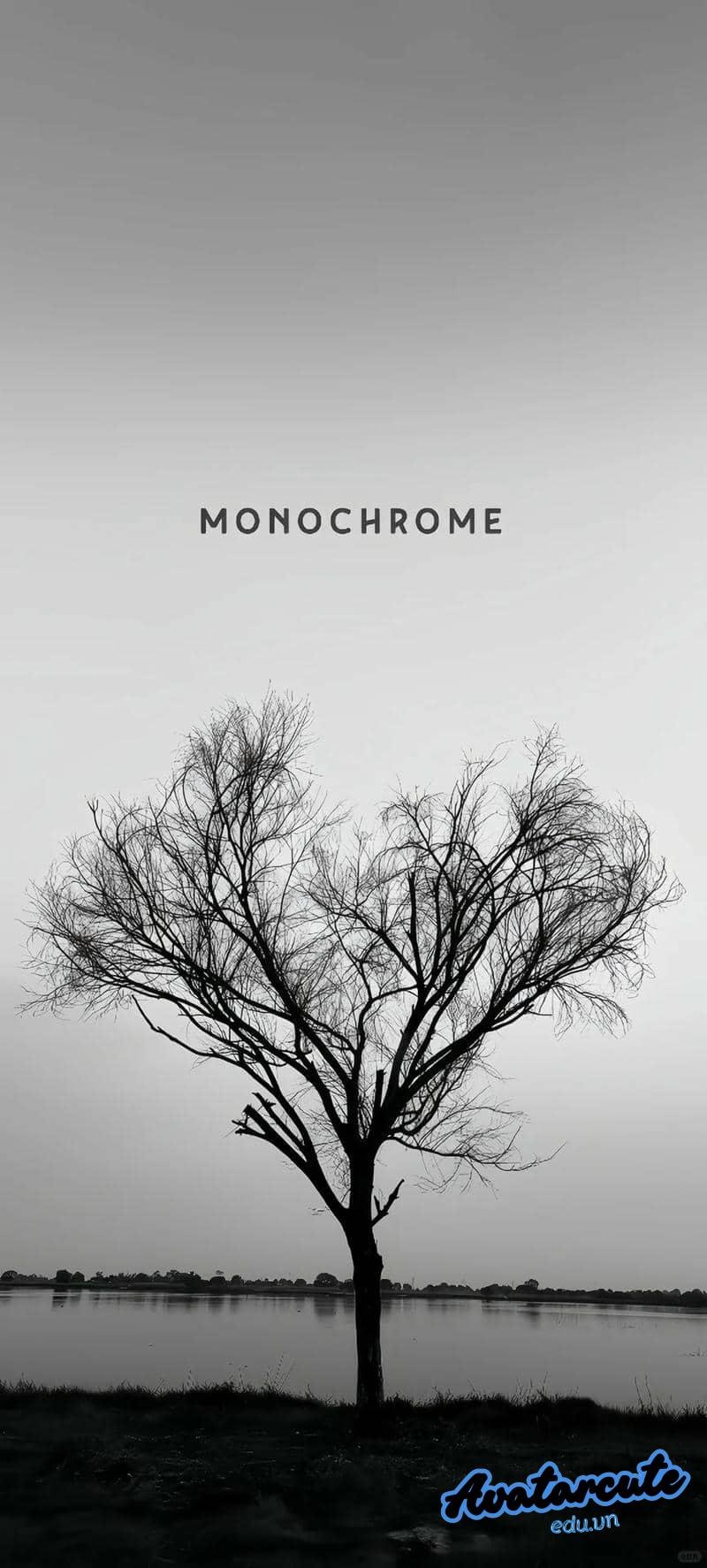 Album hình nền iphone mới
