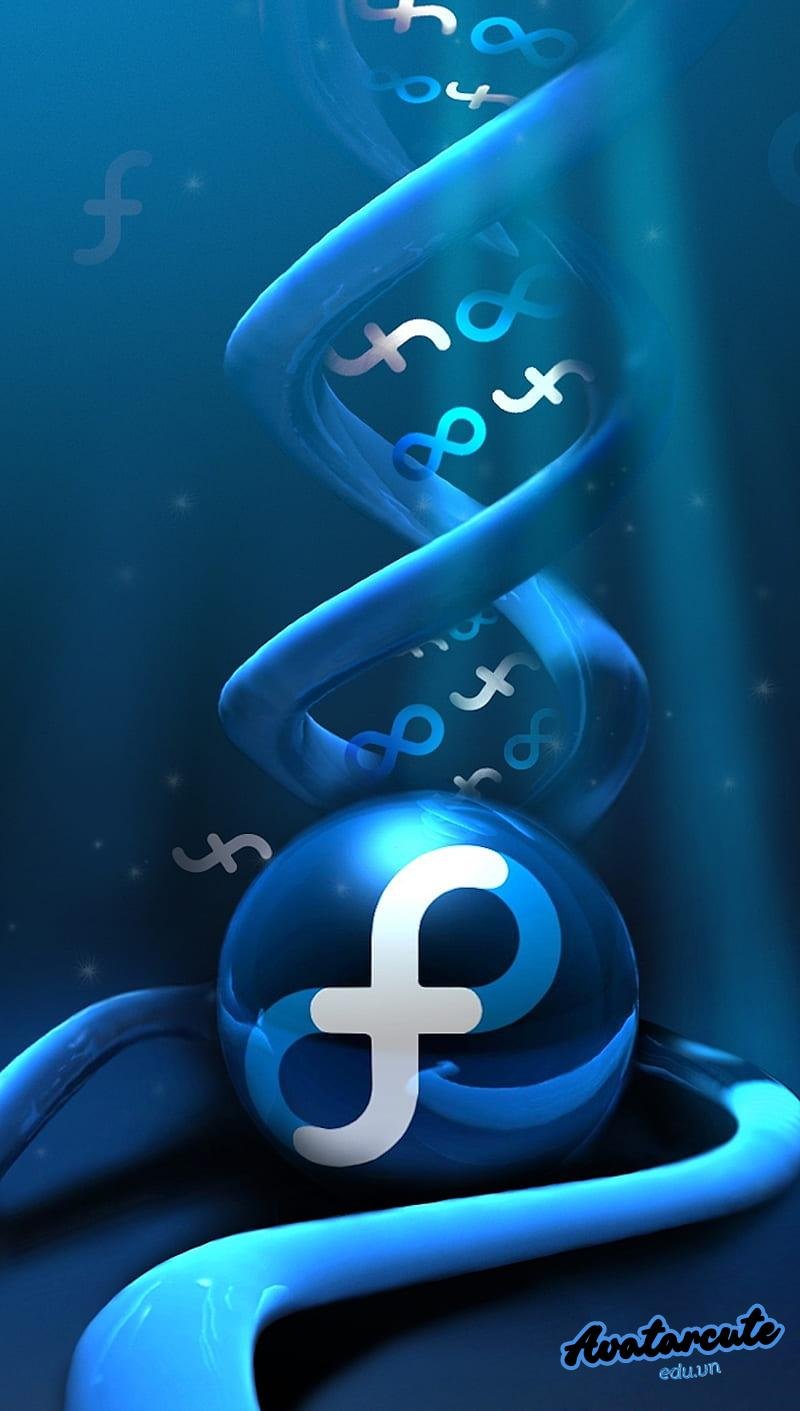 Ảnh hình nền facebook sắc nét