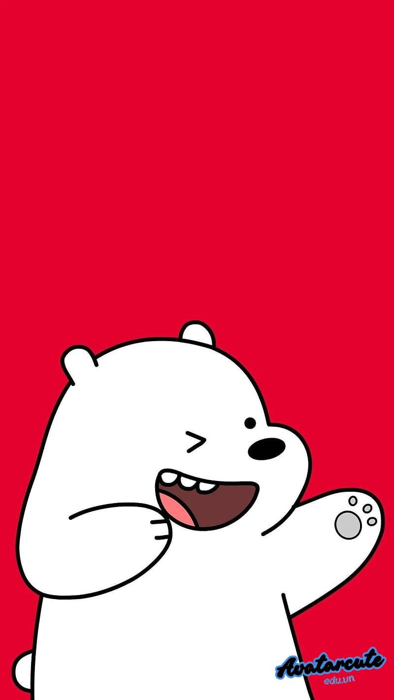 Ảnh hình nền gấu sắc nét