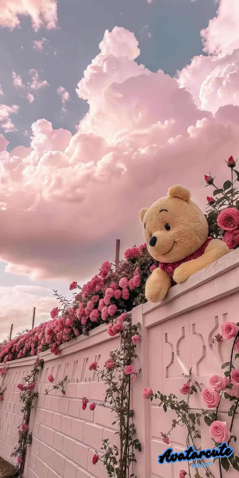 Bộ ảnh hình nền gấu miễn phí