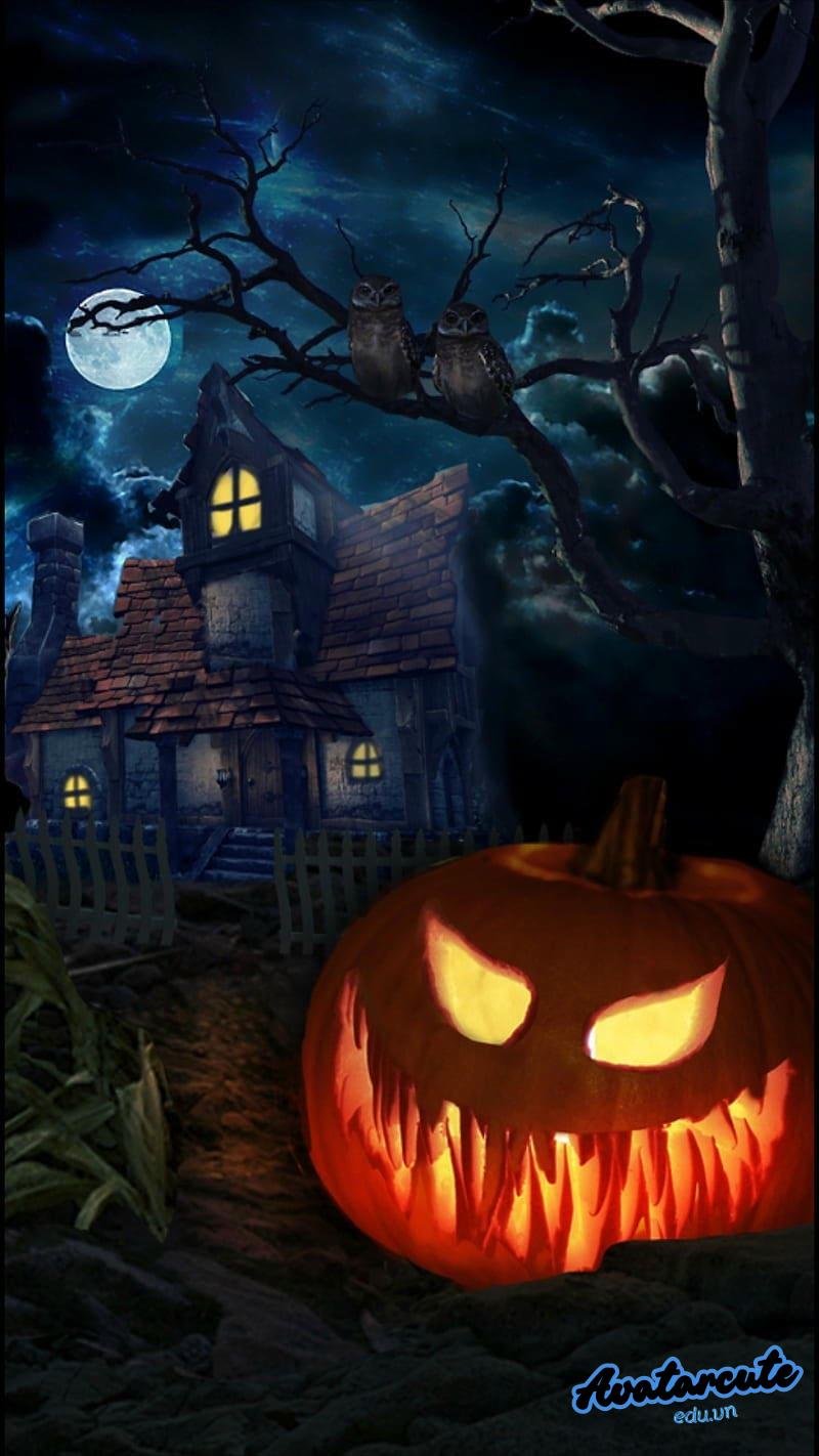 Bộ ảnh hình nền halloween sắc nét