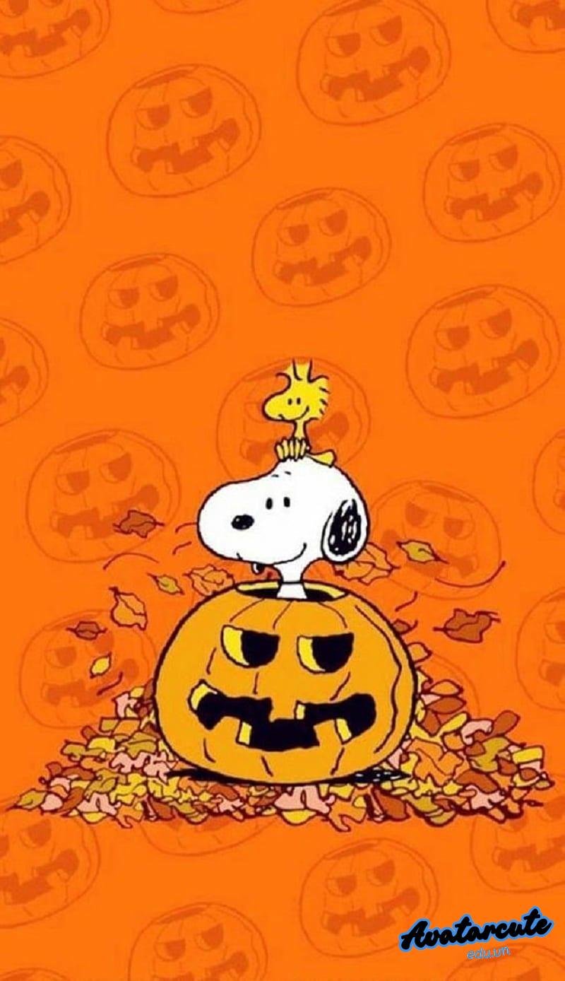 Bộ hình nền halloween thu hút