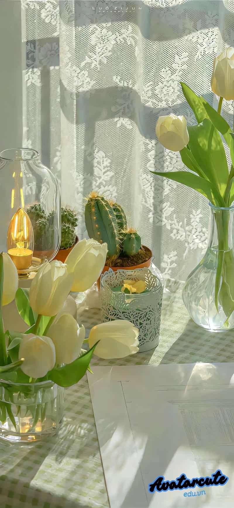 Bộ hình nền hoa sắc nét nhất