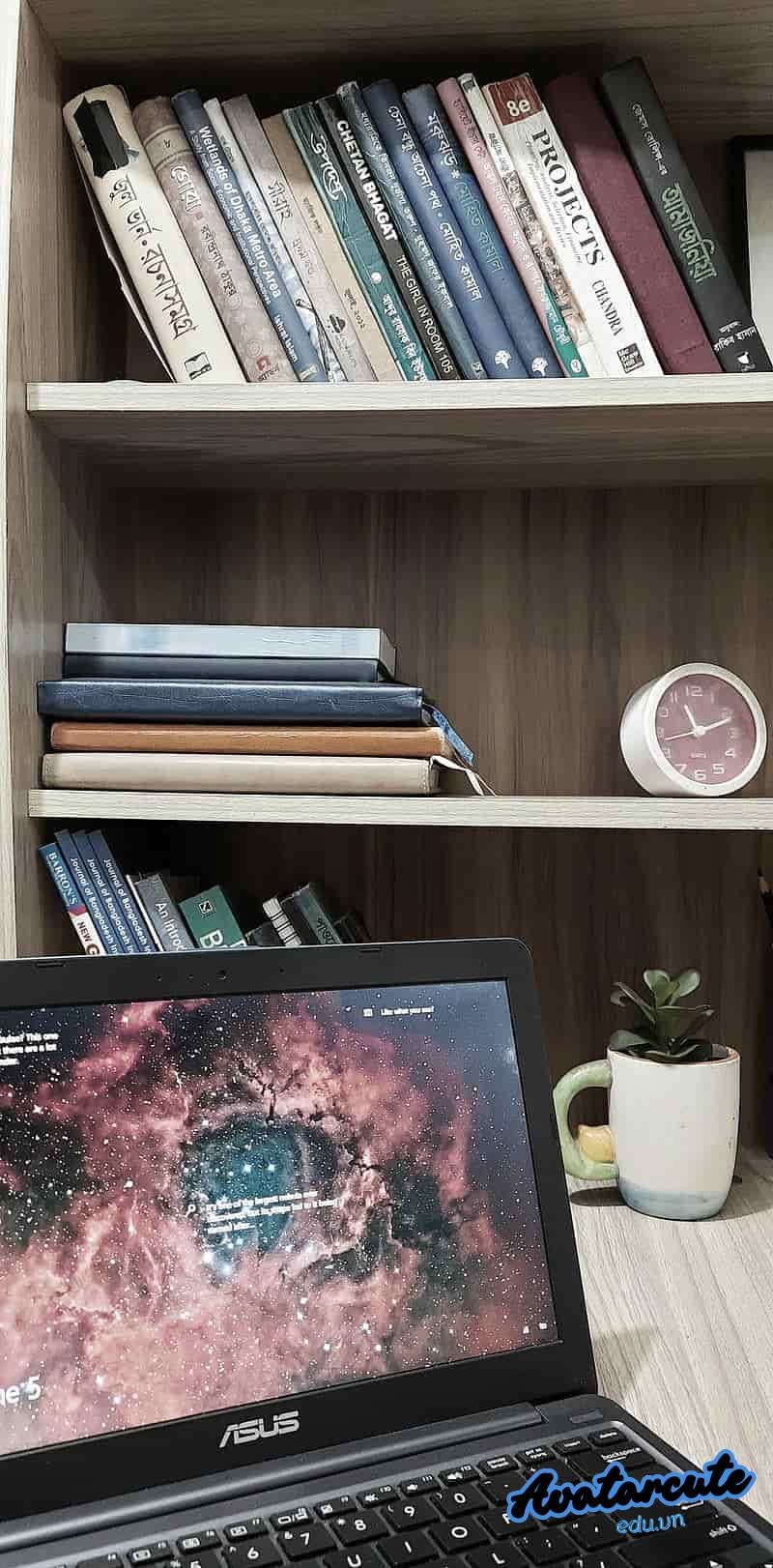 Bộ hình nền kệ sách thu hút